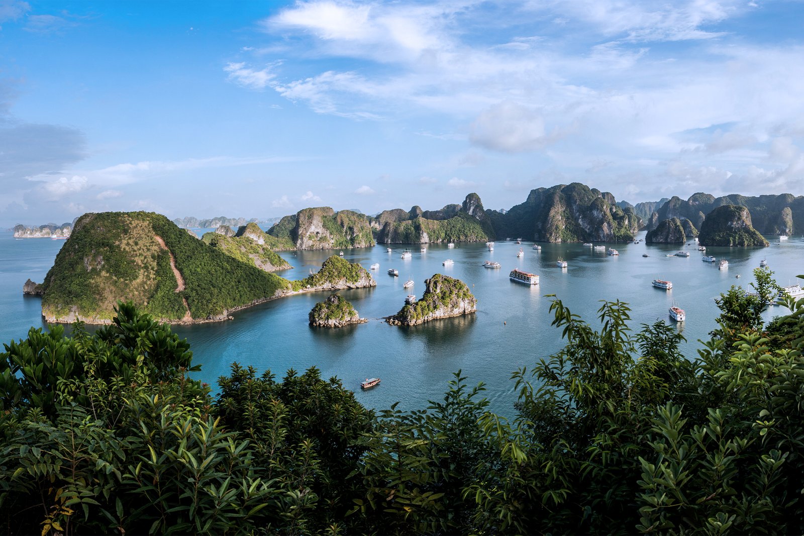 1 (1)